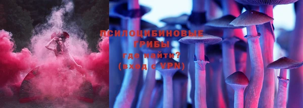 эйфоретик Надым