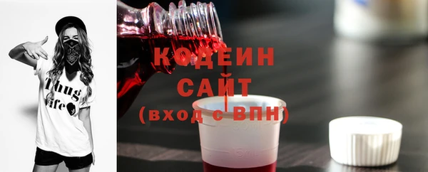 шишки Беслан