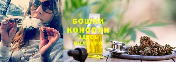 эйфоретик Надым