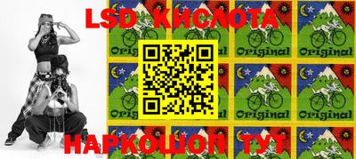 прущие грибы Балаково