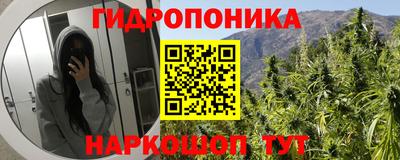 ГАЛЛЮЦИНОГЕННЫЕ ГРИБЫ Азнакаево