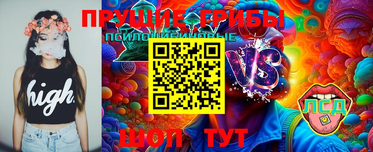 Галлюциногенные грибы ЛСД  Вход с VPN  Галлюциногенные грибы Psilocybe  Апшеронск 
