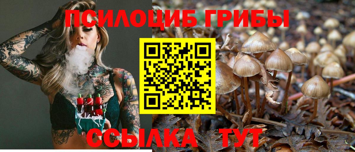 Галлюциногенные грибы MAGIC MUSHROOMS  Апшеронск  Псилоцибиновые грибы мицелий 