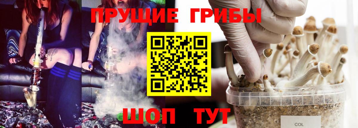 ГАШ Апшеронск